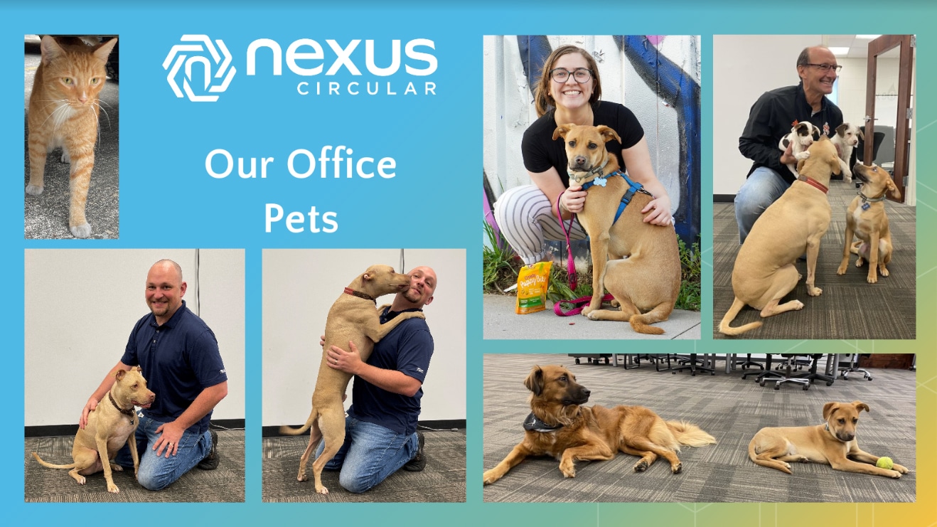 Nexus Circular office Pets